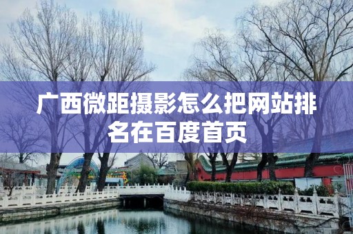 广西微距摄影怎么把网站排名在百度首页