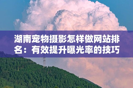 湖南宠物摄影怎样做网站排名：有效提升曝光率的技巧