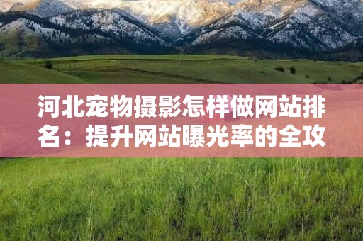 河北宠物摄影怎样做网站排名：提升网站曝光率的全攻略