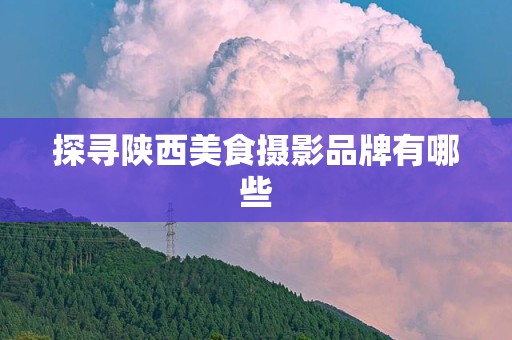探寻陕西美食摄影品牌有哪些