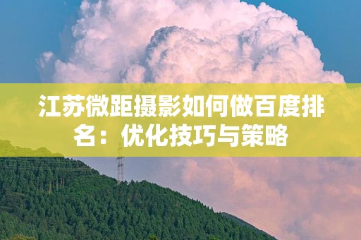 江苏微距摄影如何做百度排名：优化技巧与策略