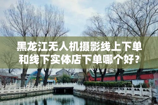 黑龙江无人机摄影线上下单和线下实体店下单哪个好？深度解析与对比