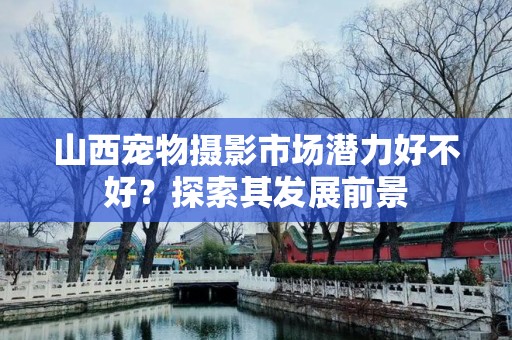 山西宠物摄影市场潜力好不好？探索其发展前景