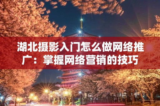 湖北摄影入门怎么做网络推广：掌握网络营销的技巧