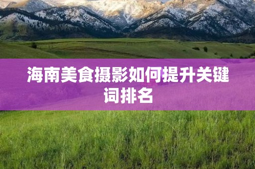 海南美食摄影如何提升关键词排名