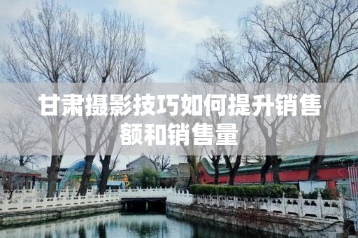 甘肃摄影技巧如何提升销售额和销售量