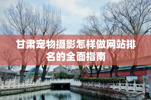 甘肃宠物摄影怎样做网站排名的全面指南