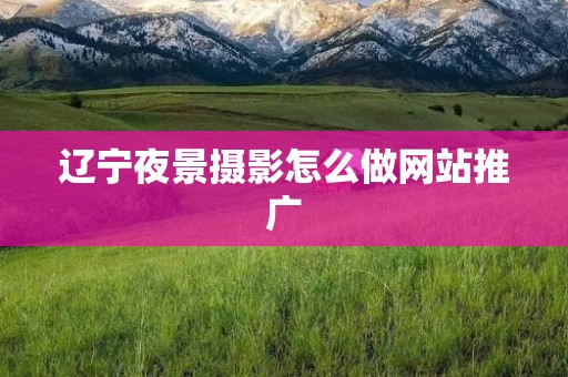 辽宁夜景摄影怎么做网站推广