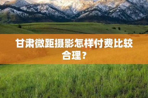 甘肃微距摄影怎样付费比较合理？