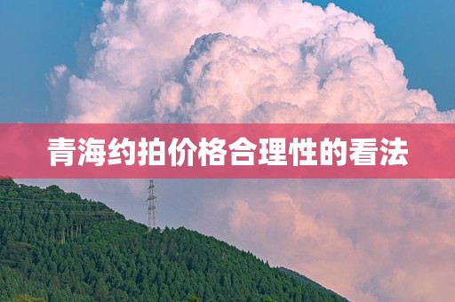 青海约拍价格合理性的看法