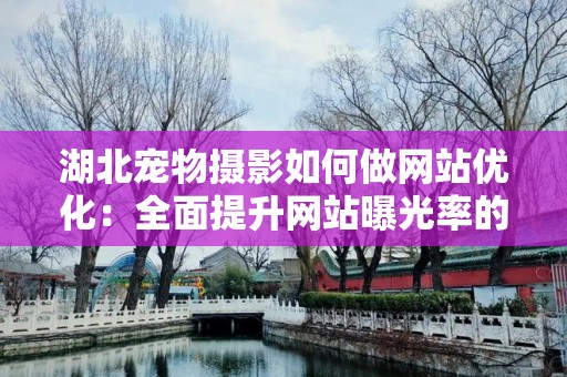 湖北宠物摄影如何做网站优化：全面提升网站曝光率的策略