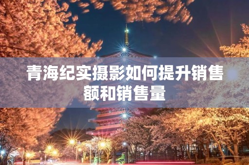 青海纪实摄影如何提升销售额和销售量