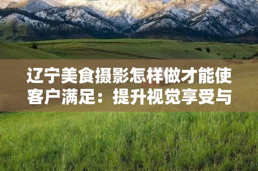 辽宁美食摄影怎样做才能使客户满足：提升视觉享受与品牌价值的艺术