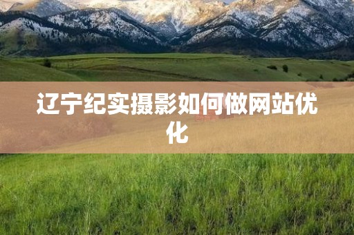 辽宁纪实摄影如何做网站优化