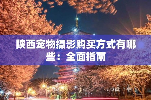 陕西宠物摄影购买方式有哪些：全面指南