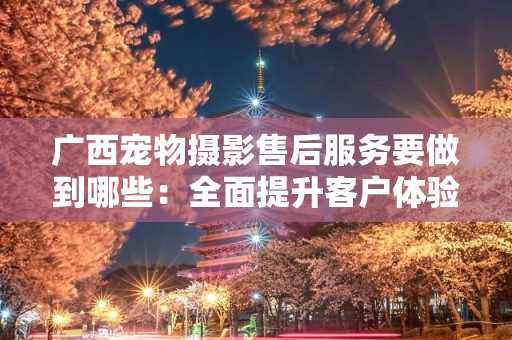 广西宠物摄影售后服务要做到哪些：全面提升客户体验