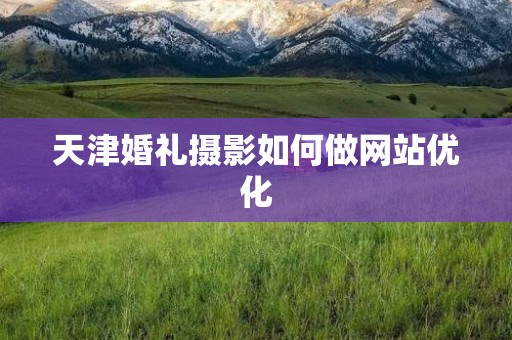 天津婚礼摄影如何做网站优化