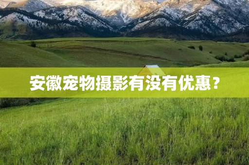 安徽宠物摄影有没有优惠？