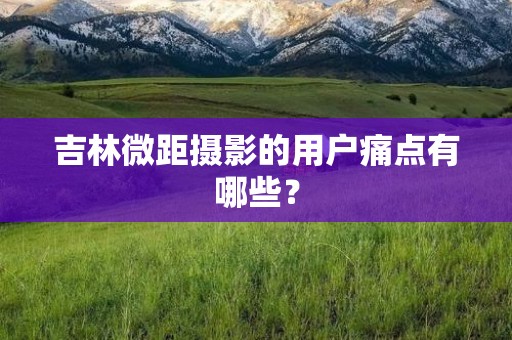 吉林微距摄影的用户痛点有哪些？