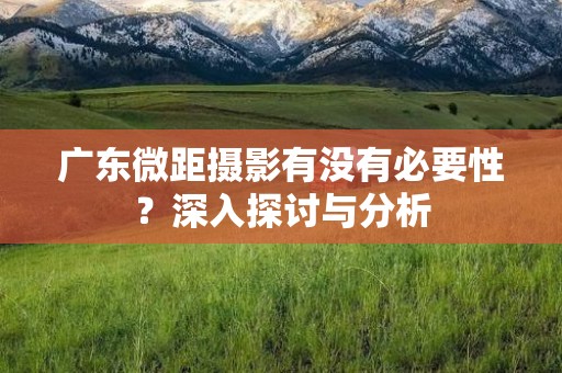 广东微距摄影有没有必要性？深入探讨与分析