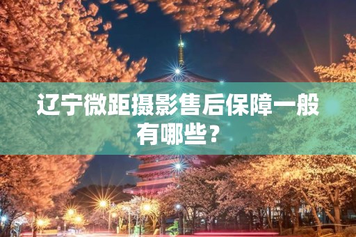 辽宁微距摄影售后保障一般有哪些？