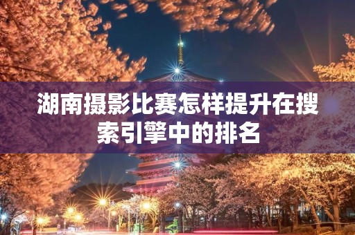 湖南摄影比赛怎样提升在搜索引擎中的排名