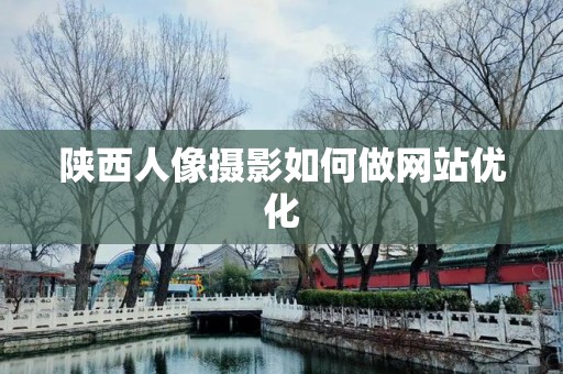 陕西人像摄影如何做网站优化