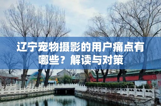 辽宁宠物摄影的用户痛点有哪些？解读与对策