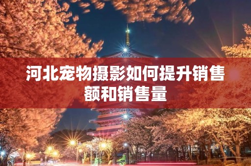 河北宠物摄影如何提升销售额和销售量