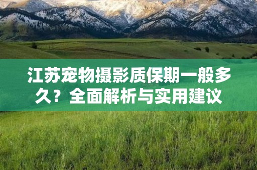 江苏宠物摄影质保期一般多久？全面解析与实用建议