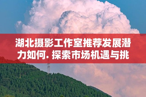湖北摄影工作室推荐发展潜力如何. 探索市场机遇与挑战