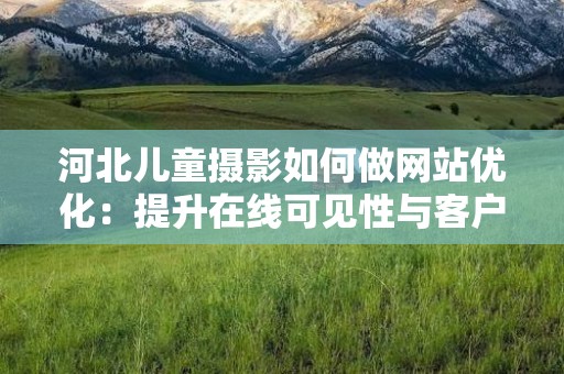河北儿童摄影如何做网站优化：提升在线可见性与客户获取