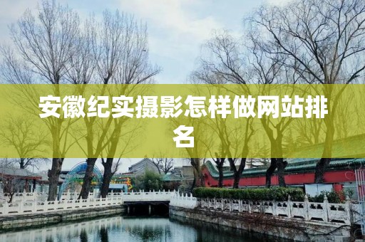 安徽纪实摄影怎样做网站排名