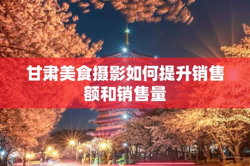 甘肃美食摄影如何提升销售额和销售量
