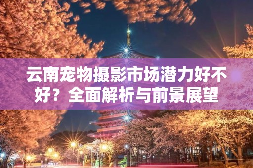 云南宠物摄影市场潜力好不好？全面解析与前景展望