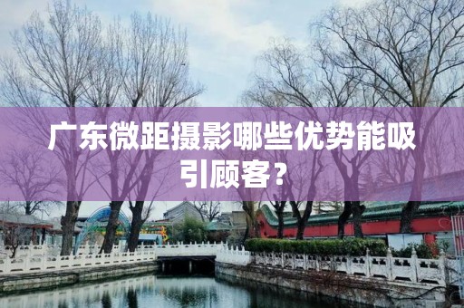 广东微距摄影哪些优势能吸引顾客？