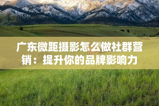 广东微距摄影怎么做社群营销：提升你的品牌影响力