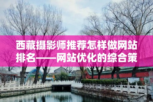 西藏摄影师推荐怎样做网站排名——网站优化的综合策略
