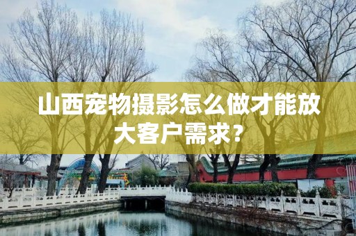 山西宠物摄影怎么做才能放大客户需求？