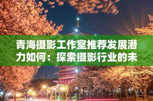 青海摄影工作室推荐发展潜力如何：探索摄影行业的未来