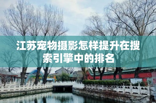 江苏宠物摄影怎样提升在搜索引擎中的排名