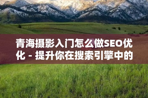 青海摄影入门怎么做SEO优化 - 提升你在搜索引擎中的曝光率