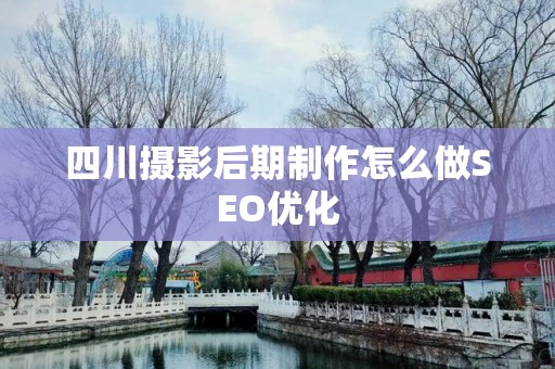 四川摄影后期制作怎么做SEO优化