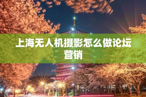 上海无人机摄影怎么做论坛营销