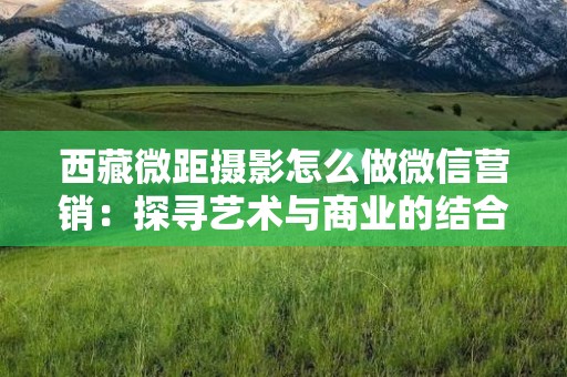 西藏微距摄影怎么做微信营销：探寻艺术与商业的结合