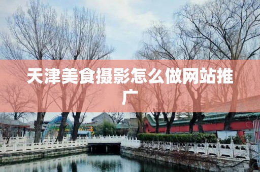 天津美食摄影怎么做网站推广
