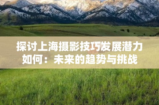 探讨上海摄影技巧发展潜力如何：未来的趋势与挑战