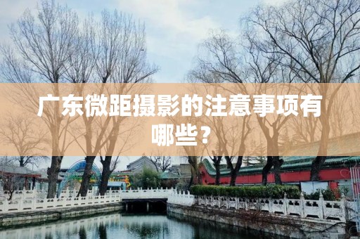 广东微距摄影的注意事项有哪些？