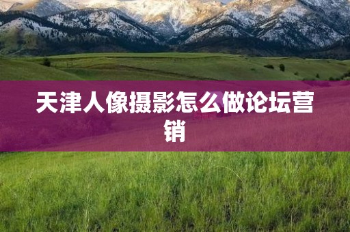天津人像摄影怎么做论坛营销