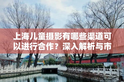 上海儿童摄影有哪些渠道可以进行合作？深入解析与市场机会